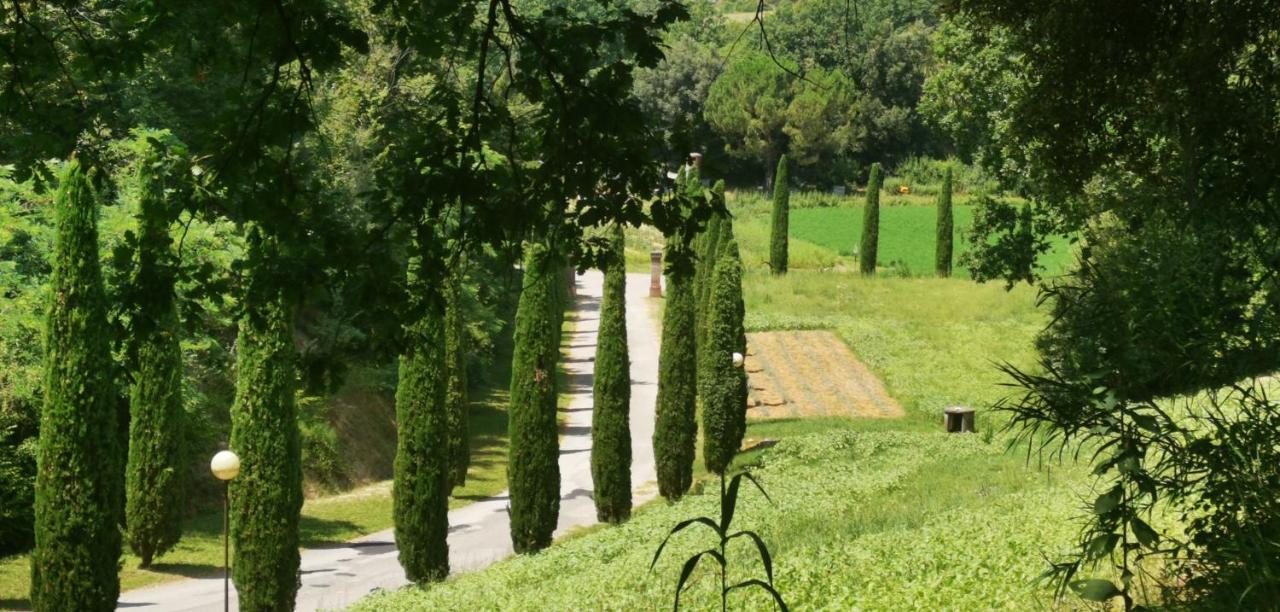 Agriturismo Cascina Cipressa San Romano  Bagian luar foto