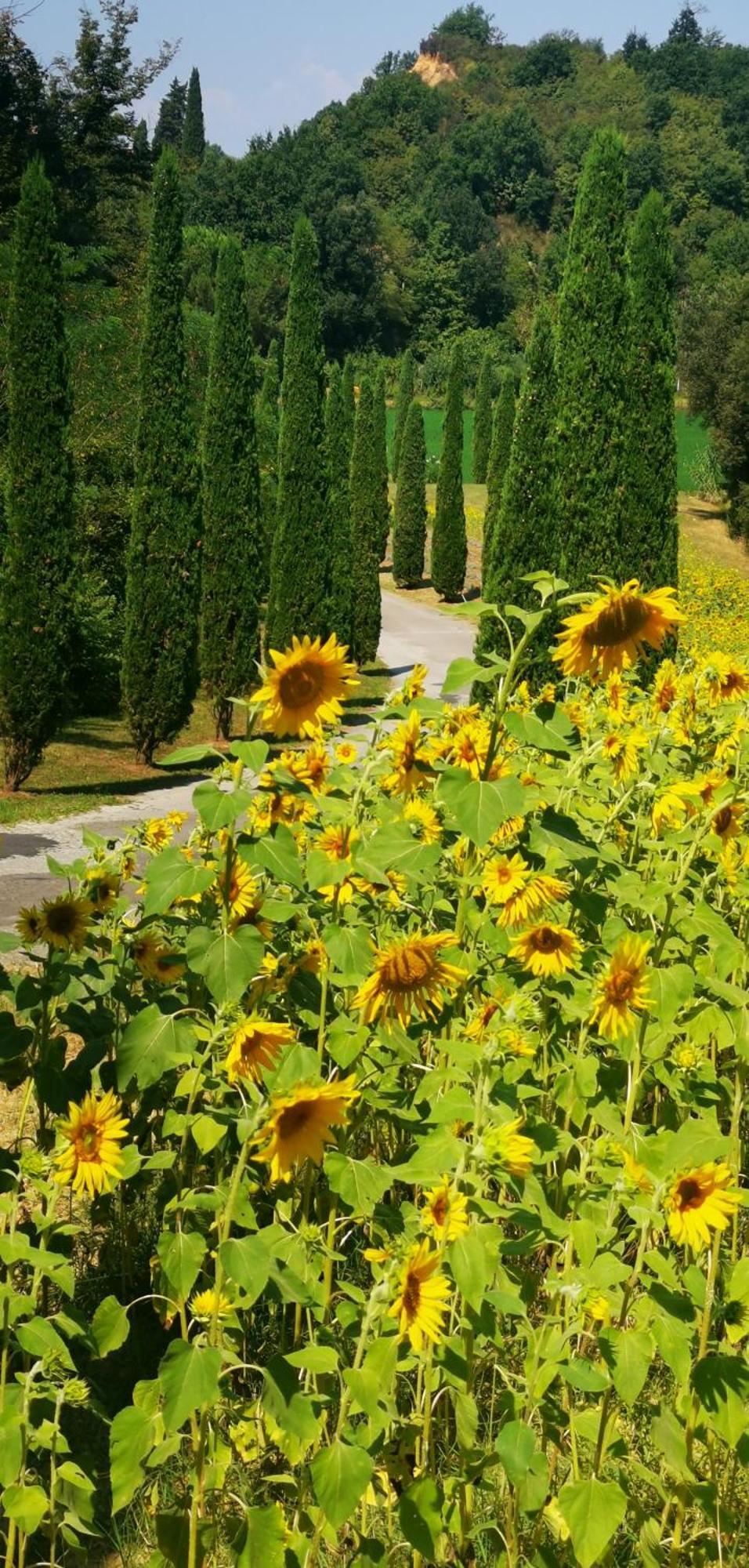Agriturismo Cascina Cipressa San Romano  Bagian luar foto