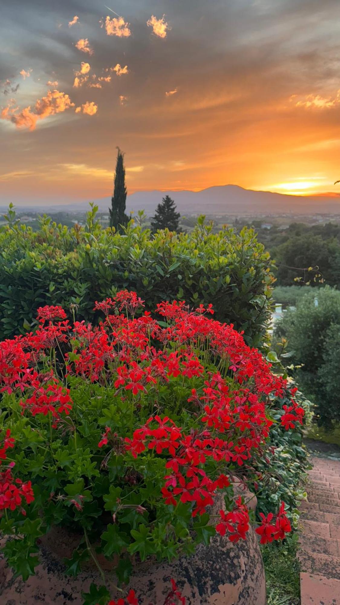 Agriturismo Cascina Cipressa San Romano  Bagian luar foto