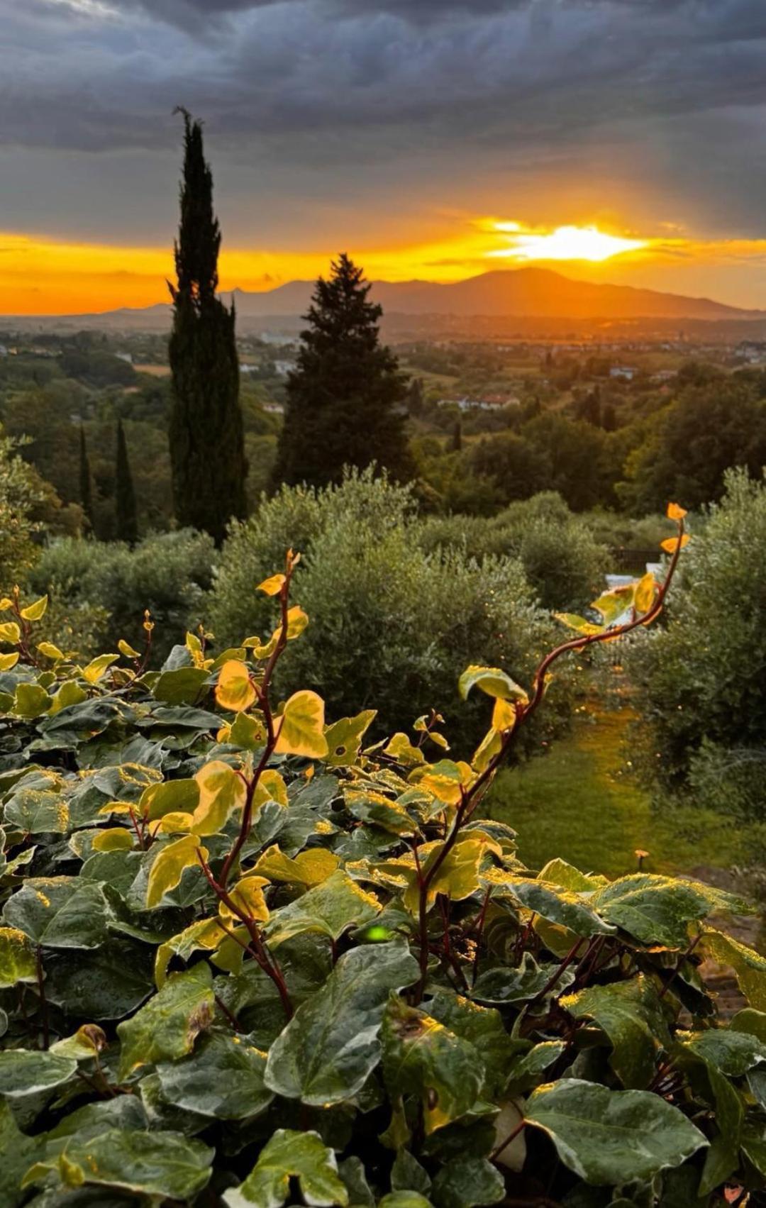 Agriturismo Cascina Cipressa San Romano  Bagian luar foto