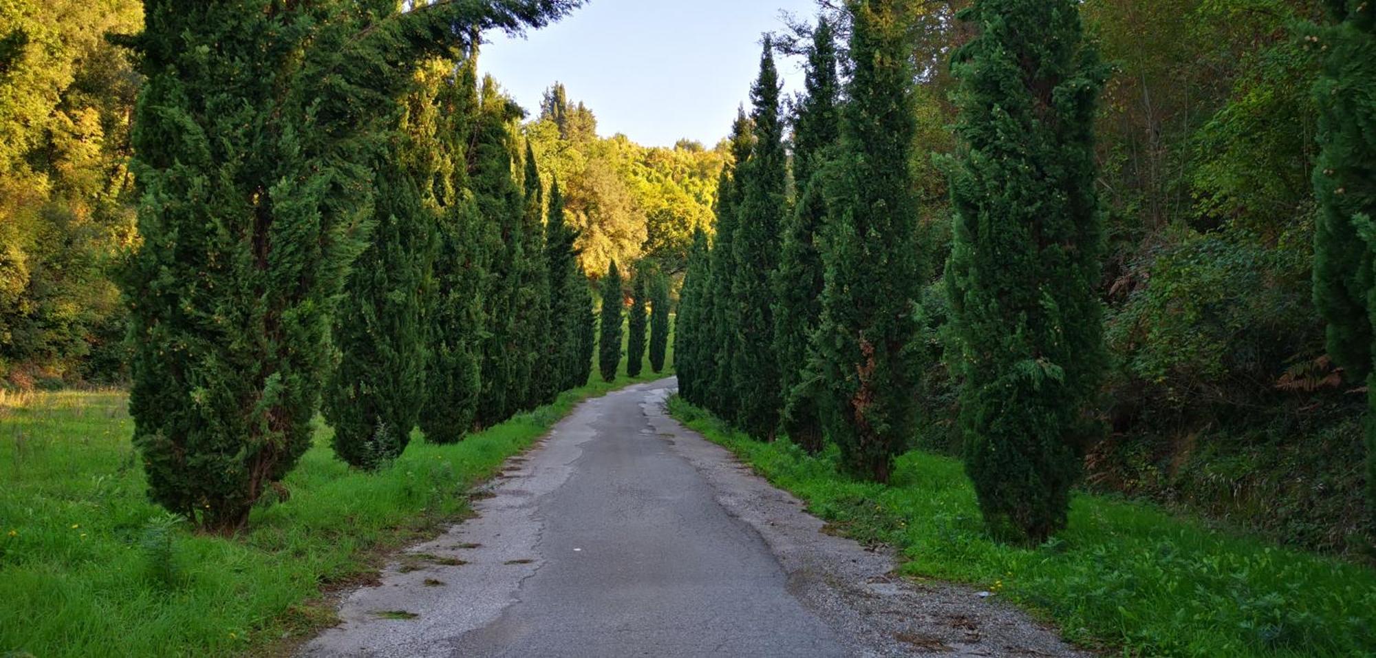 Agriturismo Cascina Cipressa San Romano  Bagian luar foto